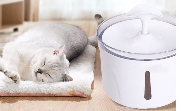 Pet AUTOMATIC Water DispensER
